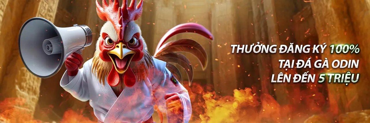 Đội ngũ hỗ trợ khách hàng 888to55 Đăng Nhập sẵn sàng phục vụ 24/7